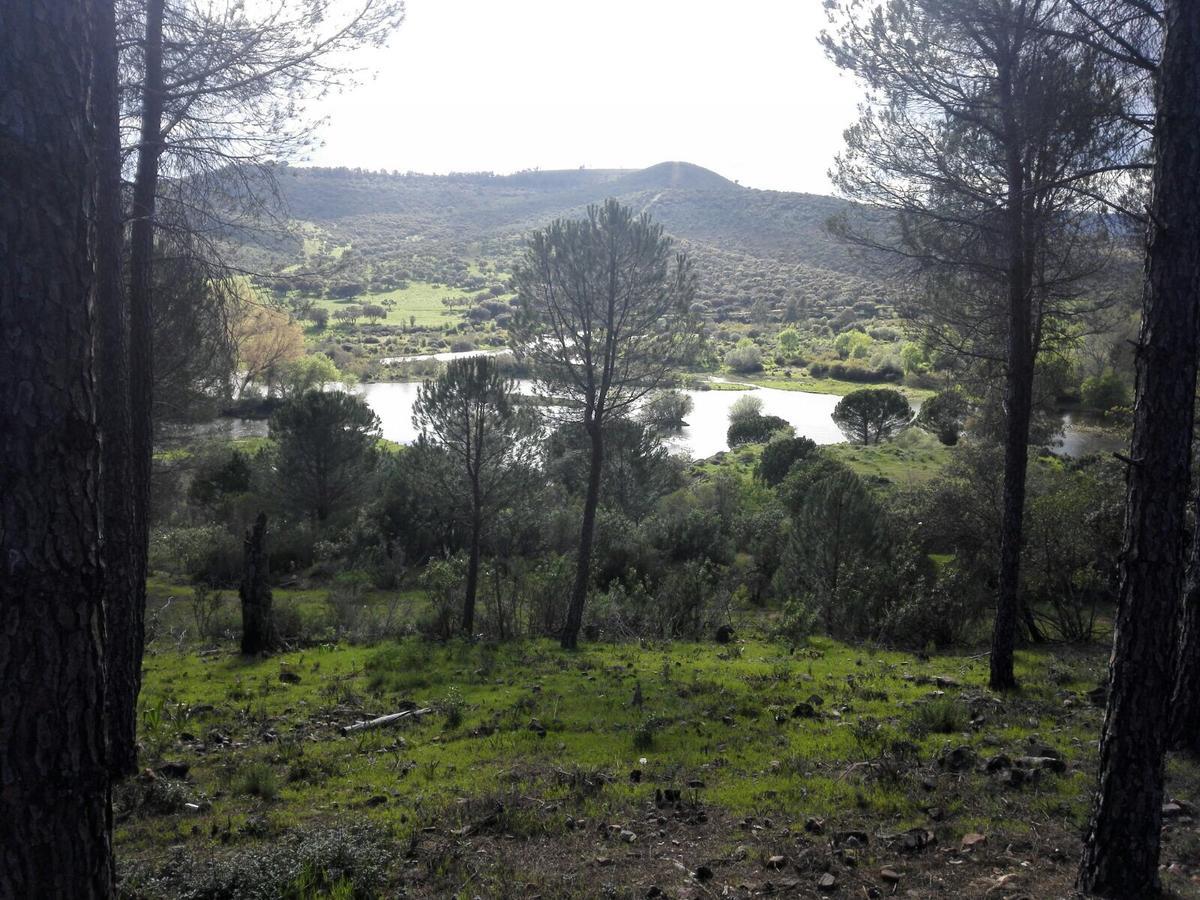Penzion Casas Rurales Cijara Helechosa Exteriér fotografie