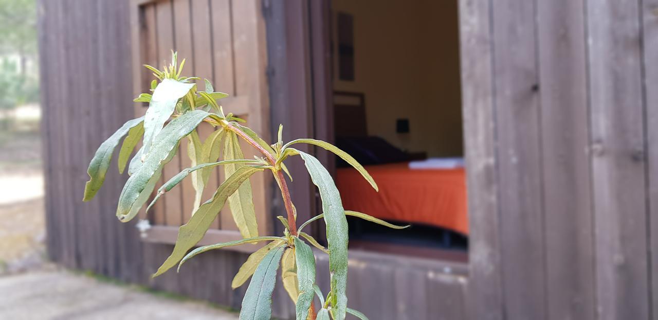 Penzion Casas Rurales Cijara Helechosa Exteriér fotografie